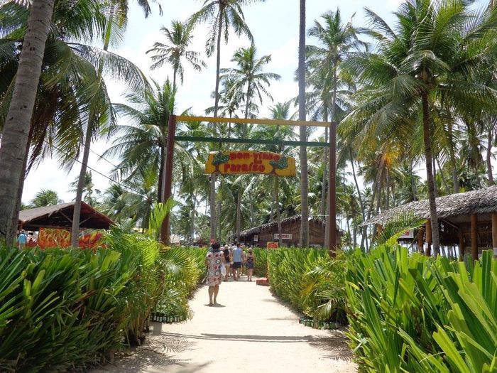 Chegando no Bora Bora Bar na Praia dos Carneiros