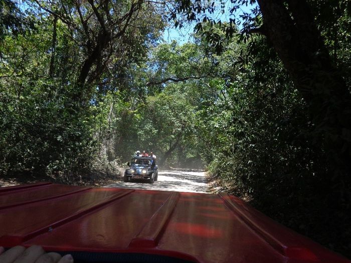 Nos aventurando no Buggy