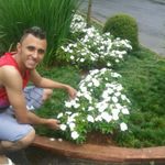Ilson