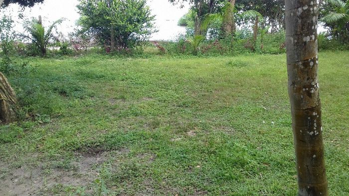 Meus fornecedores em barcarena-pa - 3