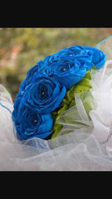 rosas maiores ^^