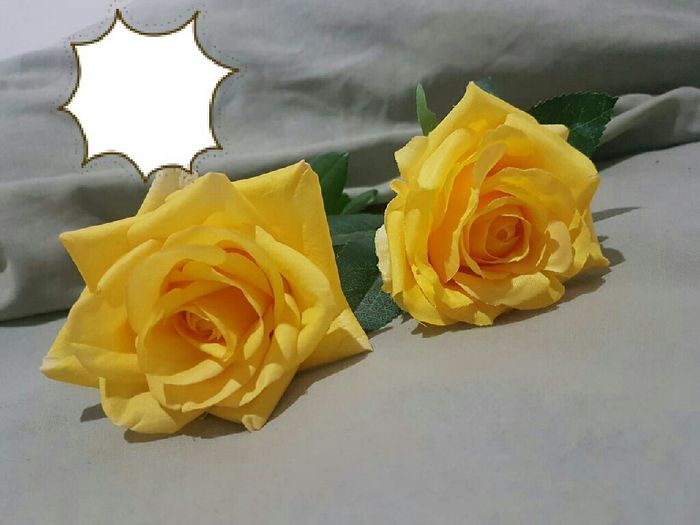 Flores mescladas 2