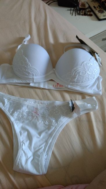 Tudo que ganhei no chá de lingerie - 16