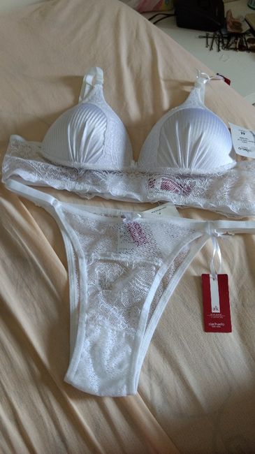 Tudo que ganhei no chá de lingerie - 18