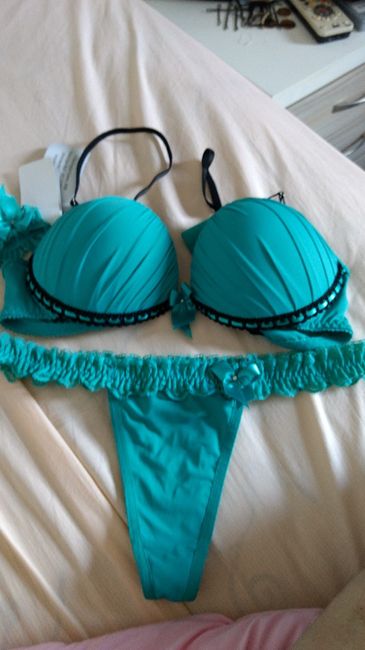 Tudo que ganhei no chá de lingerie - 23
