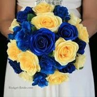Amarelo e azul! - 1