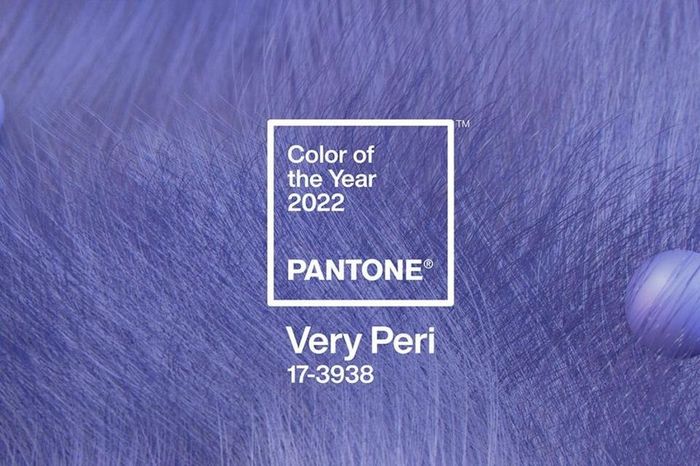 Very Peri: A cor Pantone do ano para 2022 estaria no seu Dia C? - 1