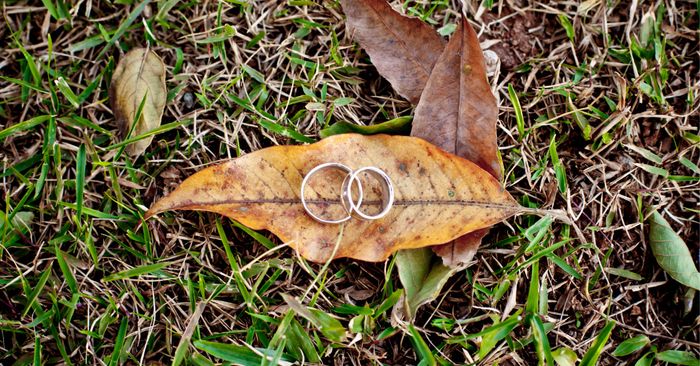 Casamento sustentável: 5 dicas para seu Dia C 1