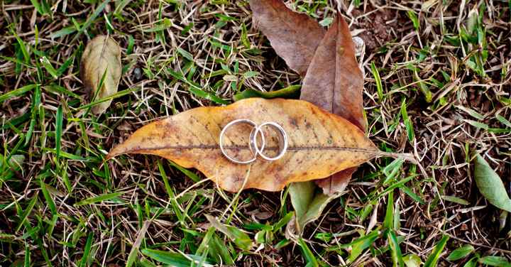 Casamento sustentável: 5 dicas para seu Dia C - 2