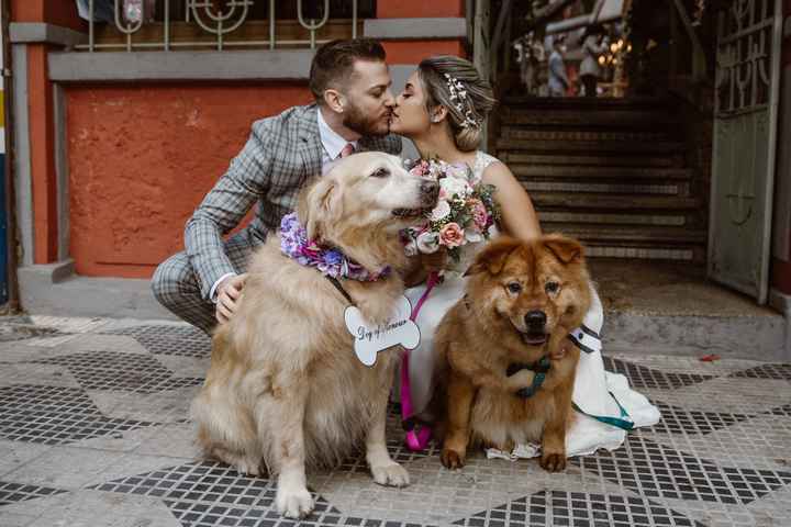 5 dicas para fazer um ensaio fotográfico com seu pet! - 2