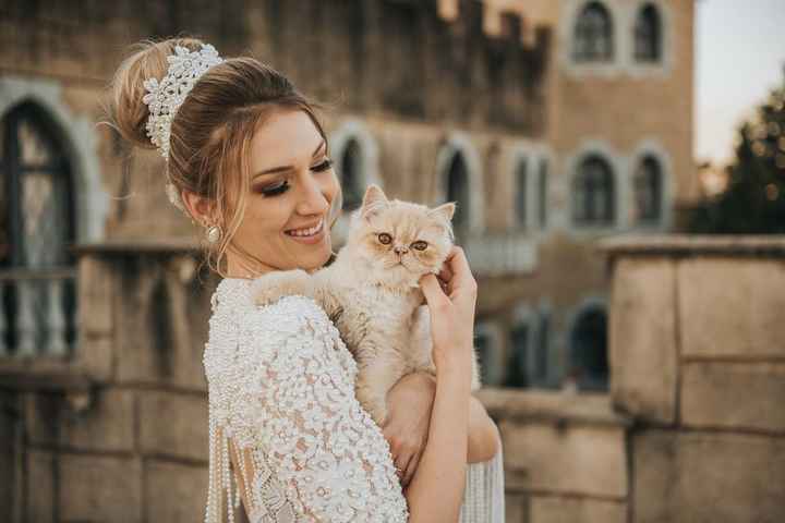 5 dicas para fazer um ensaio fotográfico com seu pet! - 4