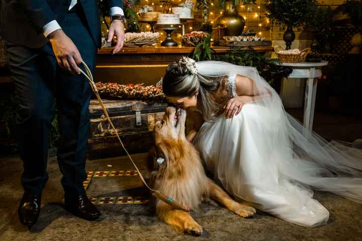 A noiva & o pet: 3 fotos para inspirar seus cliques! - 1