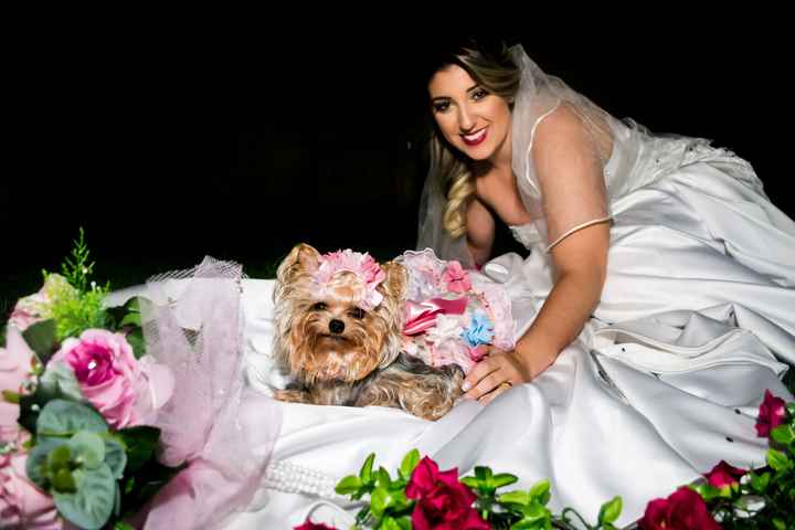 A noiva & o pet: 3 fotos para inspirar seus cliques! - 2