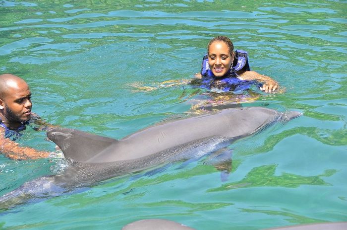 Parque Xel-ha - golfinhos