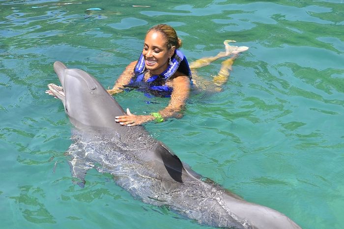 Parque Xel-ha - golfinhos