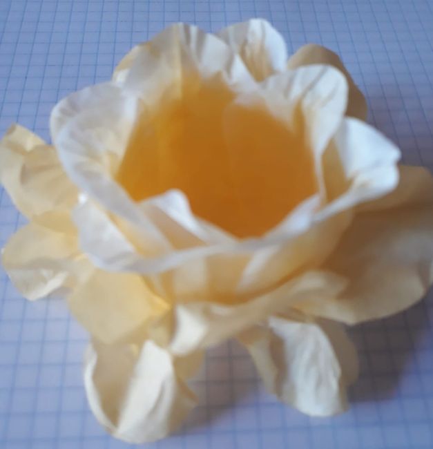 Modelo botão no amarelo.