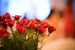 Meu Casamento - Decoração