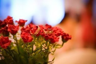 Meu Casamento - Decoração