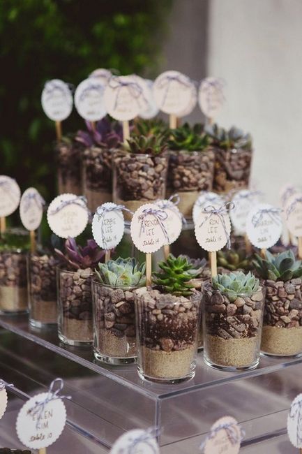 Casamento sustentável - Você faria? 12