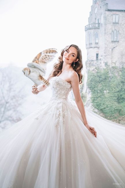 Coleção de vestidos de noivas inspiradas nas princesas da Disney 31