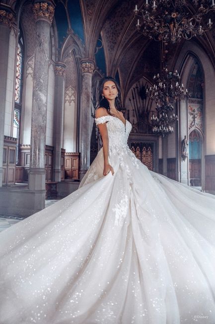 Coleção de vestidos de noivas inspiradas nas princesas da Disney 45