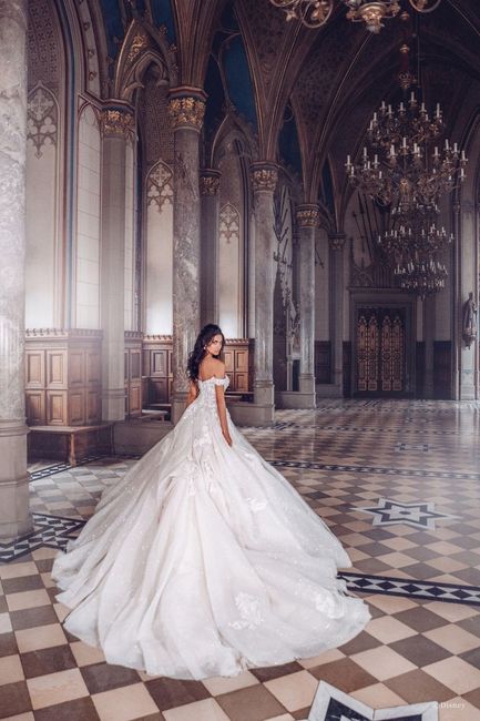 Coleção de vestidos de noivas inspiradas nas princesas da Disney 47