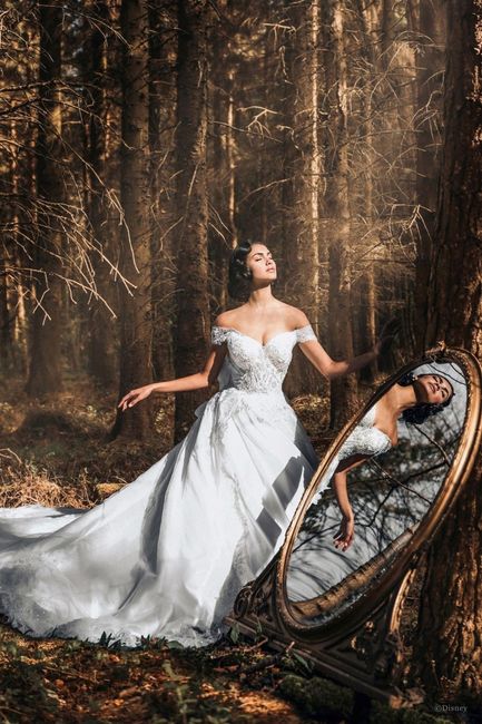 Coleção de vestidos de noivas inspiradas nas princesas da Disney 63