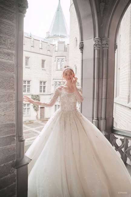 Coleção de vestidos de noivas inspiradas nas princesas da Disney 79