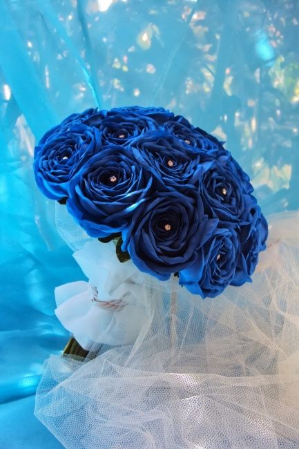 Buque