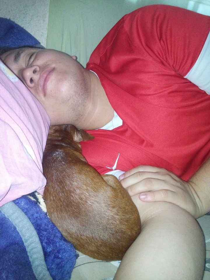 Casou comigo, casou com o meu cachorro! - 5
