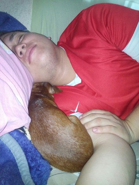 Casou comigo, casou com o meu cachorro! - 5