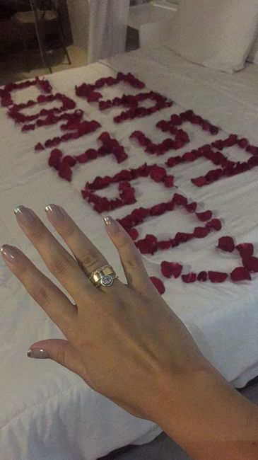 Meu pedido de casamento 