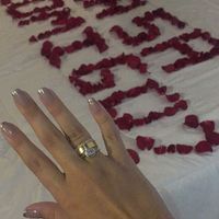 Meu pedido de casamento 