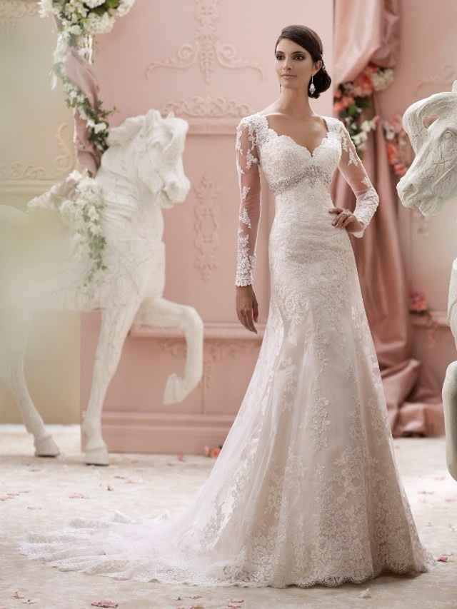 DavidTutera