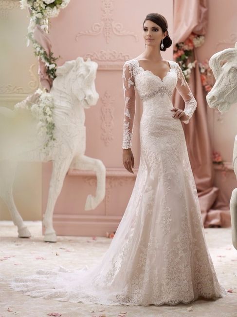 DavidTutera