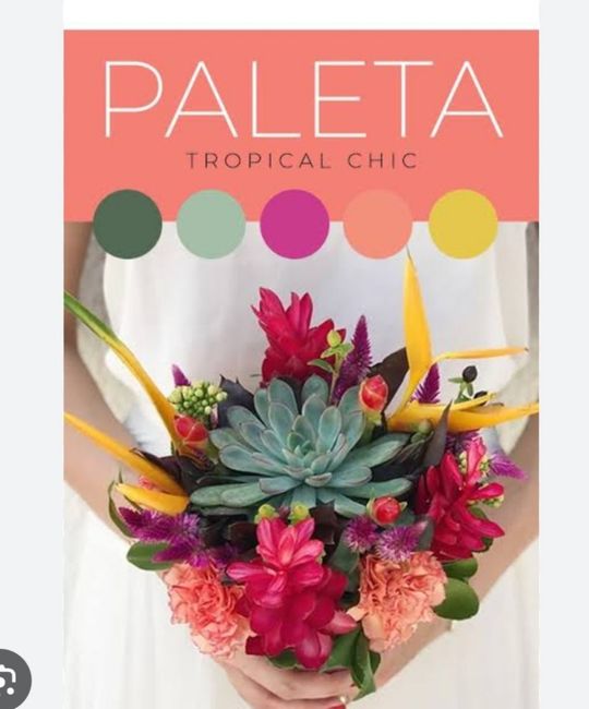 Paleta de cores 2