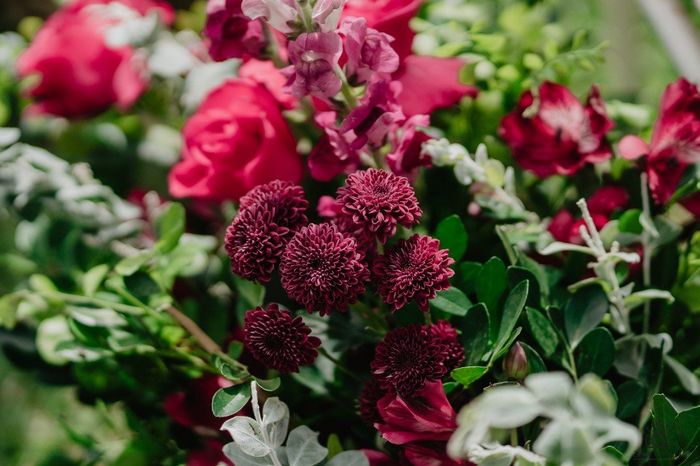 Flores