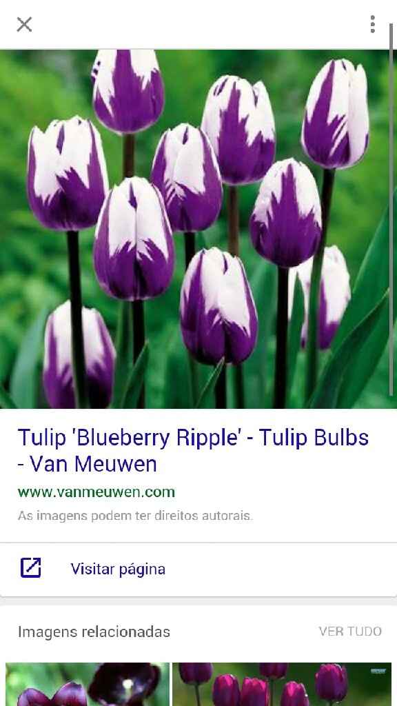 Quais flores preferidas para o buquê?! - 15