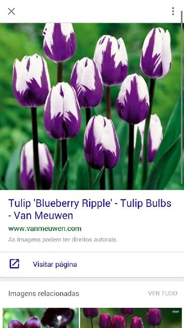 Quais flores preferidas para o buquê?! - 15