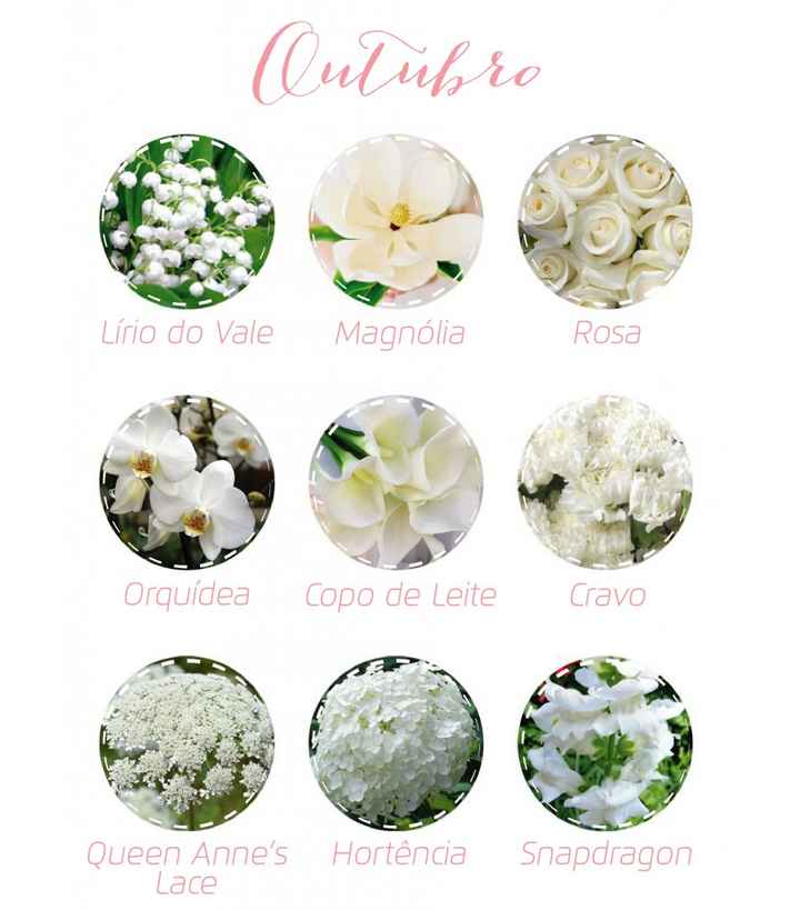 Flores 