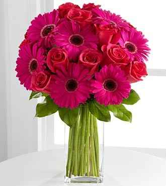 Gérberas são flores que podem significar sensibilidade, sensualidade, amor, nobreza, alegria e simpl
