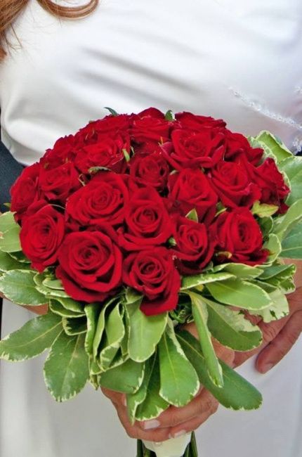 buque vermelho