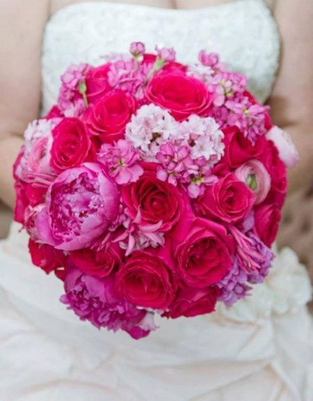Buque Pink