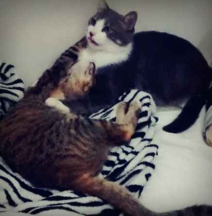 Filhos!
