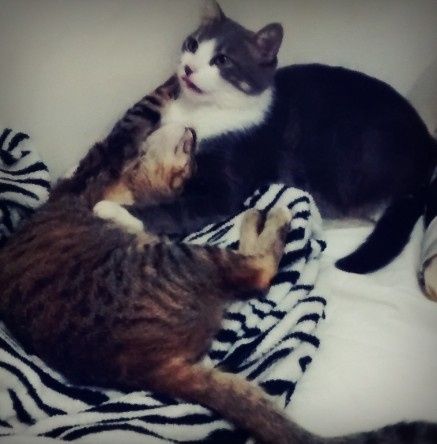 Filhos!