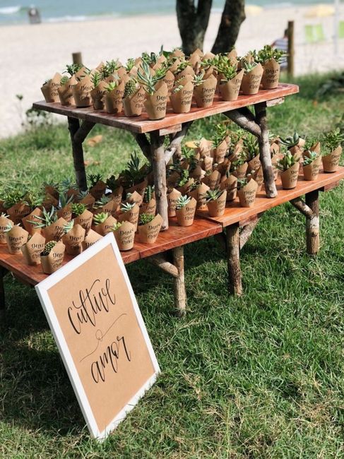 Lembrancinhas: comestíveis ou plantinhas? 3