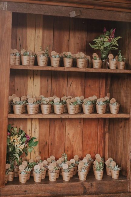Lembrancinhas: comestíveis ou plantinhas? 4