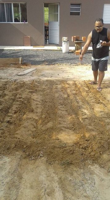 Nosso primeiro plantio hehehe