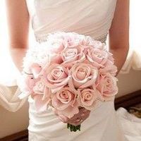 Estou simplesmente amando essas flores...