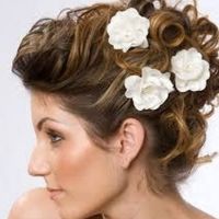Tipos de Cabelo